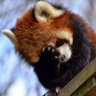 Фото профиля aidanmao
