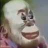Profilbild von Suedeias