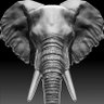ElephantTurd's profile picture