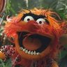 Master of Muppets ·'s profile picture