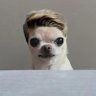 Profilbild von Seyy