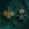 Aws Almfalany | أوس المفعلاني 的头像