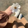 ريم محمد profil fotoğrafı