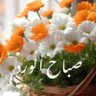 Sakr elsayed's profile picture