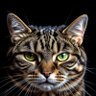 Profilbild von Mr.Grisys_bot