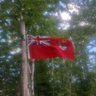 Joe Thomas's profile picture