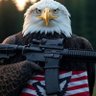 Star Spangled Nut-job 的头像