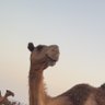 . profil fotoğrafı