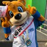 いむむ's profile picture