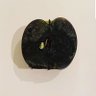 Not-So-Good Apple #WritersSupport #NoWar 🇵🇸 profil fotoğrafı