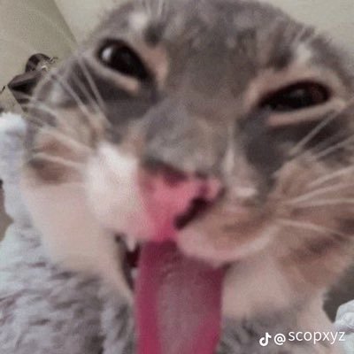 okb31306's profile picture