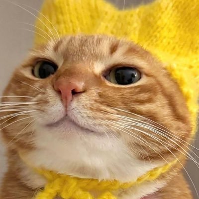 GyulaliJaeruk's profile picture