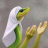 Profilbild von Donna Gibert
