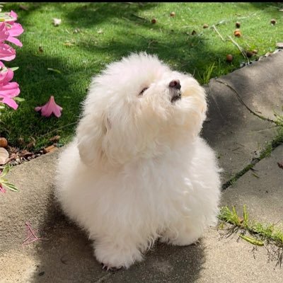 tong96873711's profile picture