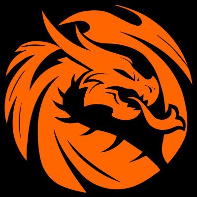 FDS_Dragons's profile picture