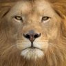 Aarón Gomar's profile picture