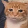 Profilbild von RRRRROM