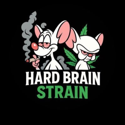 Hardbrainstrain's profile picture
