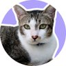 ʟᴀʙʏʀɪɴᴛʜ profil fotoğrafı