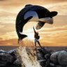 Free Willy profil fotoğrafı