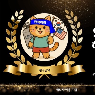 ✌️애국냥이🇰🇷🇺🇲🇯🇵🇮🇱✌️'s profile picture