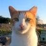 Profilbild von manuvlls