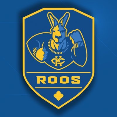 Kansas City Soccer's profile picture