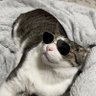 mrp's profile picture