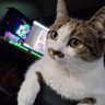 BarthVader's profile picture