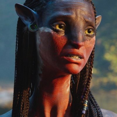 18kiwis's profile picture