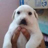 Kaxoro profil fotoğrafı