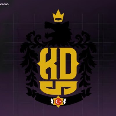 kdsesportsgg's profile picture