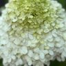 Фото профиля Maureen Hitchings