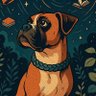 Фото профиля Obed