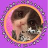ねこもち profil fotoğrafı
