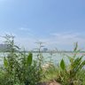 SunFine 的头像