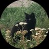 Фото профиля sarah