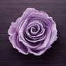 PINK's profile picture