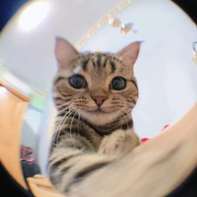 oleandter's profile picture