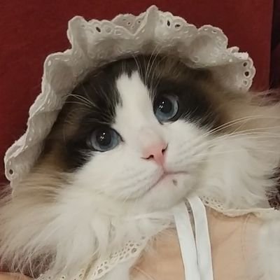 chilly___man's profile picture