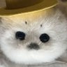 Profilbild von Hua Pei