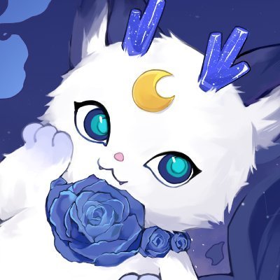 nvnoche's profile picture