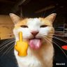 Profilbild von 董宝宝