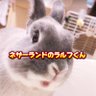 Profilbild von 大阪UBER配達員さん