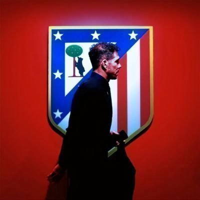cholobus's profile picture