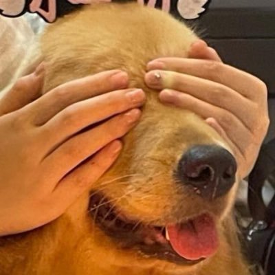 sluttyjingjing's profile picture