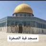 Mohamed Hakim 🇦🇹's profile picture