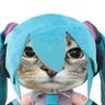 JeanieBeanie 🏳️⚧️ 的头像
