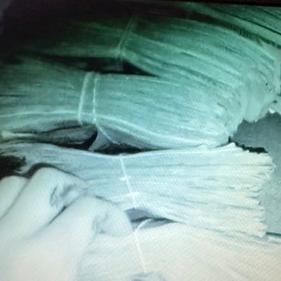 sethynascar's profile picture