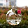 🌹راقي بأخلاقي🌹 profil fotoğrafı
